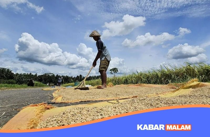 Ancaman Krisis Pangan Global Mengintai! Mentan Tegaskan Indonesia Harus Mandiri atau Terpukul