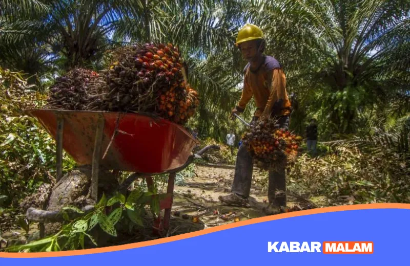 Dunia Bakal Ketergantungan! Rahasia Ekspor CPO RI Melejit Tembus 4,69 Miliar Dolar