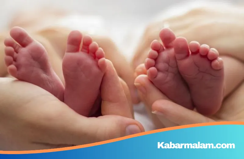 Ancaman Tersembunyi di Balik Plastik: Jutaan Bayi Terancam Lahir Prematur Akibat Paparan Zat Kimia