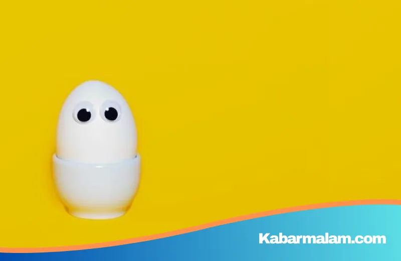 Bukan Sekadar Menu Sederhana, Inilah Alasan Telur Rebus Jadi Pahlawan Nutrisi di Balik Mitos Bisul