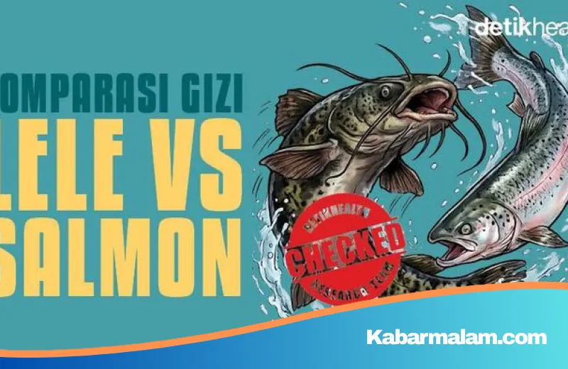 Duel Nutrisi Ikan Lele vs Salmon: Benarkah Harga Menjamin Kualitas Gizi?