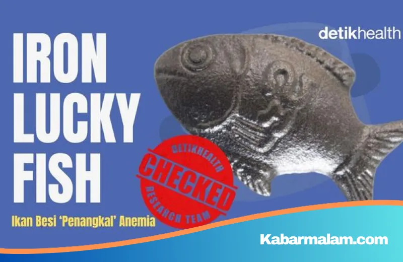 Fenomena Iron Lucky Fish: Solusi Inovatif Atasi Anemia atau Sekadar Tren Belaka?