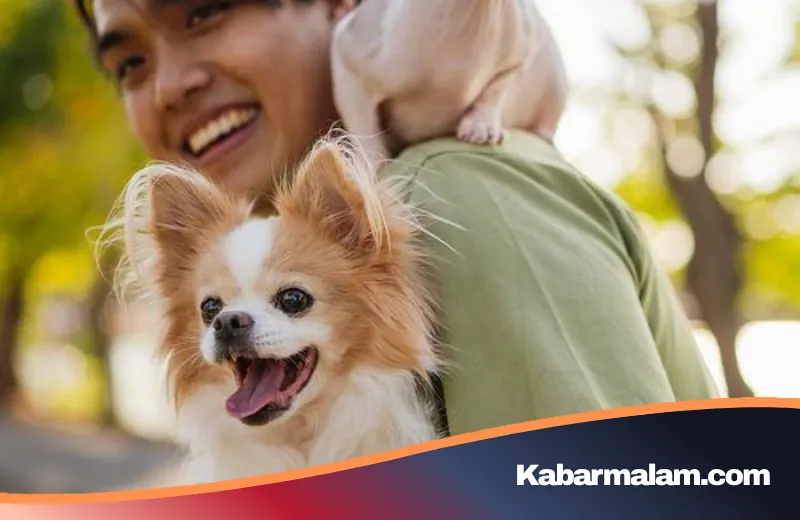 Fenomena Pet-fishing: Saat Hewan Peliharaan Jadi 'Senjata Ampuh' Mencari Jodoh di Aplikasi Kencan