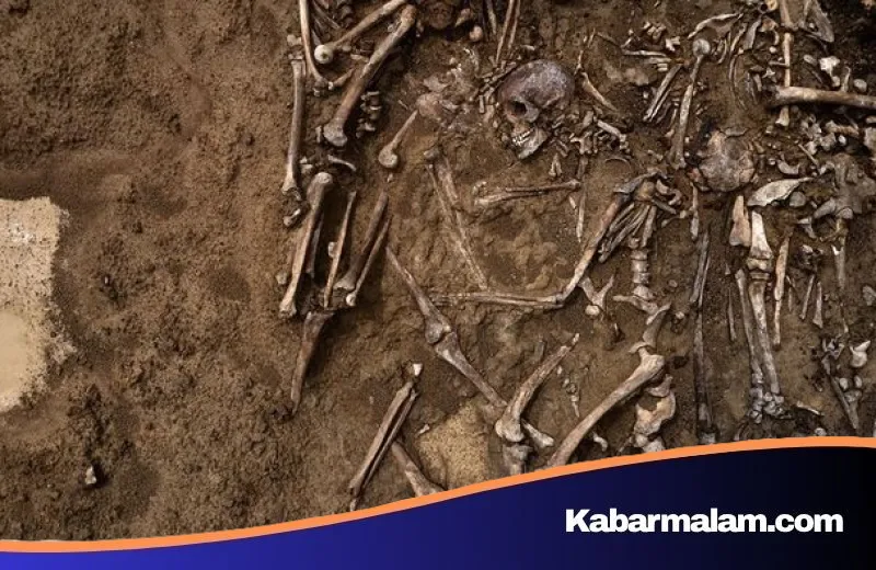 Frustrasi Birokrasi Berujung Horor: Pria di India Nekat Bawa Kerangka Sang Adik ke Bank