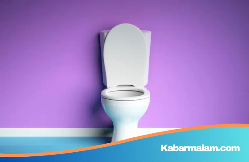 Jangan Abaikan Sinyal di Kamar Mandi: Pakar Harvard Ungkap Rahasia Kesehatan Melalui Tekstur dan Kebiasaan BAB