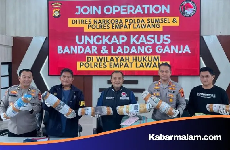 Jejak Bisnis Haram di Empat Lawang: Polda Sumsel Bongkar Kebun Ganja 20 Hektar dan Sita 220 Kg Barang Bukti