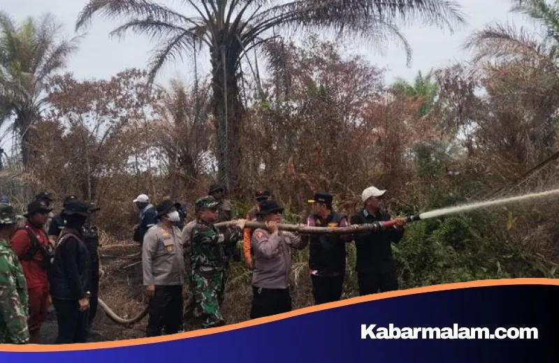 Lahan Gambut 500 Hektar Membara, Polres Pelalawan Seret Tersangka Pembakar Hutan ke Jeruji Besi