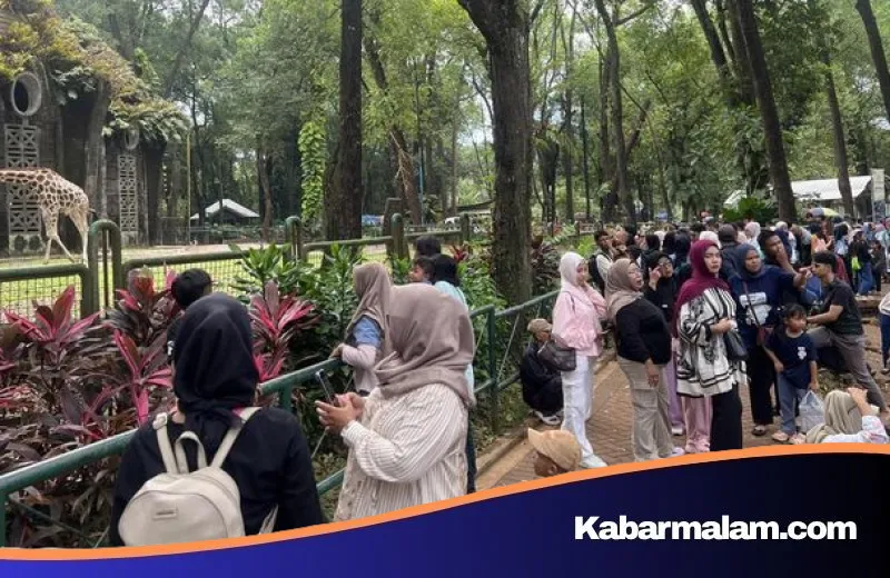 Libur Jumat Agung, Taman Margasatwa Ragunan Diserbu Hingga 30 Ribu Pengunjung