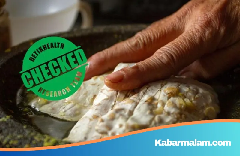 Mengungkap Rahasia Fermentasi: Mengapa Tempe Layak Disebut 'Superfood' Nabati Kelas Dunia