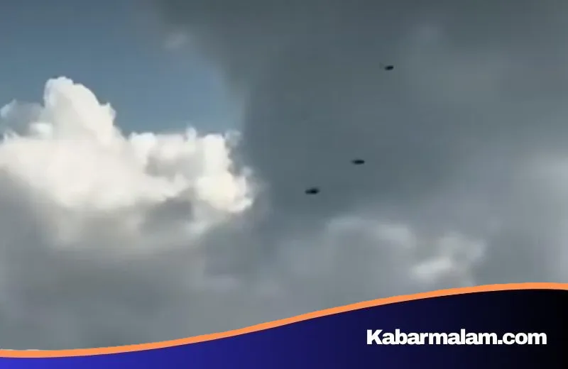 Misteri Kawanan Lebah di Tol Bali Mandara Terungkap, Pakar Sebut Fenomena Swarming