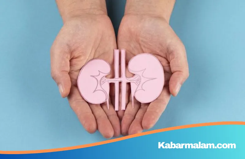 Musuh Tersembunyi Ginjal: 7 Makanan yang Diam-Diam Bisa Memicu Kerusakan Permanen