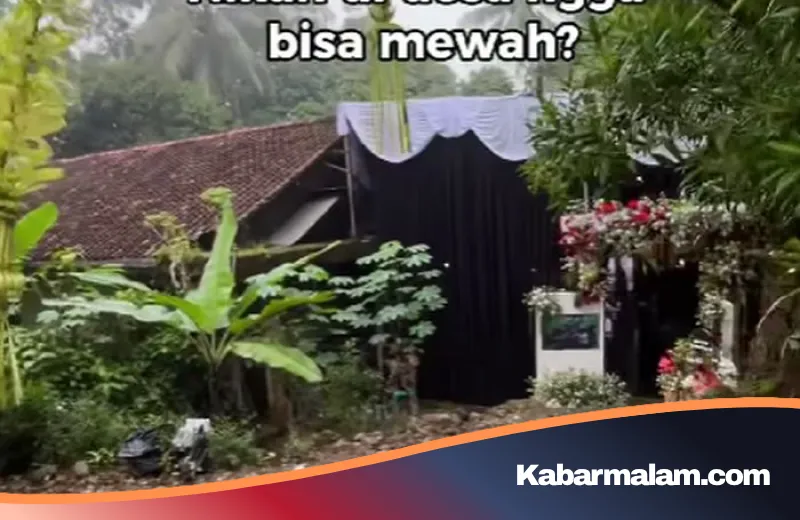 Sulap Halaman Rumah Jadi Venue Mewah, Pernikahan di Desa Pelosok Purbalingga Ini Viral di Media Sosial
