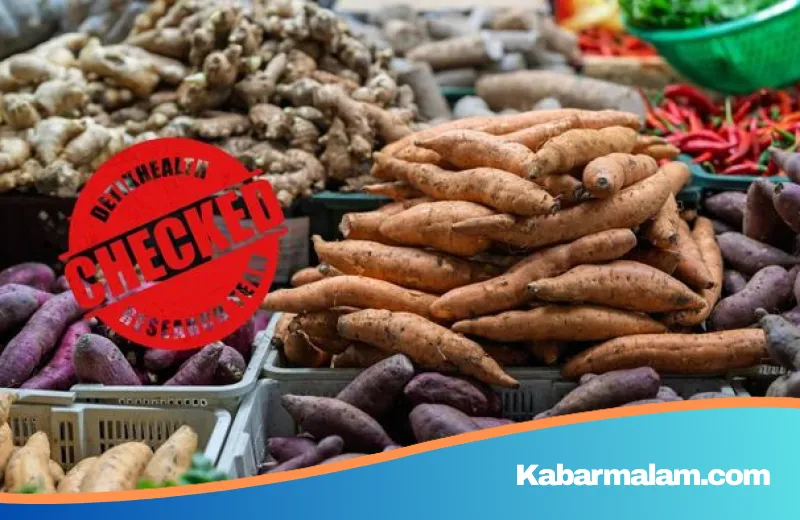 Ubi vs Nasi Putih: Bedah Nutrisi Mana yang Paling Ampuh untuk Menurunkan Berat Badan?