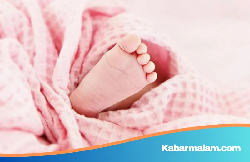 Viral Bayi 1,5 Tahun Kena Hipotermia di Gunung Ungaran, IDAI Beri Peringatan Keras: Anak Bukan 'Orang Dewasa Mini'