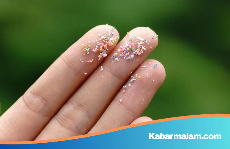 Waspada! Riset Ungkap Kandungan Mikroplastik Tinggi dalam Sayur dan Buah Konsumsi Harian