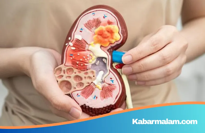 Waspada! Tren Diabetes Usia Muda Picu Lonjakan Kasus Gagal Ginjal di Indonesia