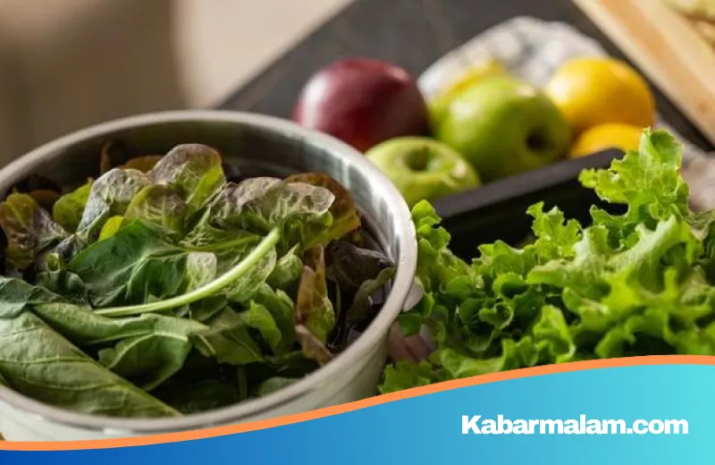 5 Rahasia Menu Harian Pakar Longevity Agar Tetap Bugar dan Panjang Umur