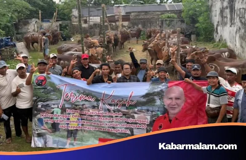 Aksi Nyata PDIP Jatim: Tebar 485 Sapi Kurban untuk Wong Cilik dan Panti Asuhan