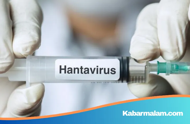 Benteng Pertahanan Kesehatan: Kemenkes Perketat Skrining Hantavirus di Pintu Masuk Negara