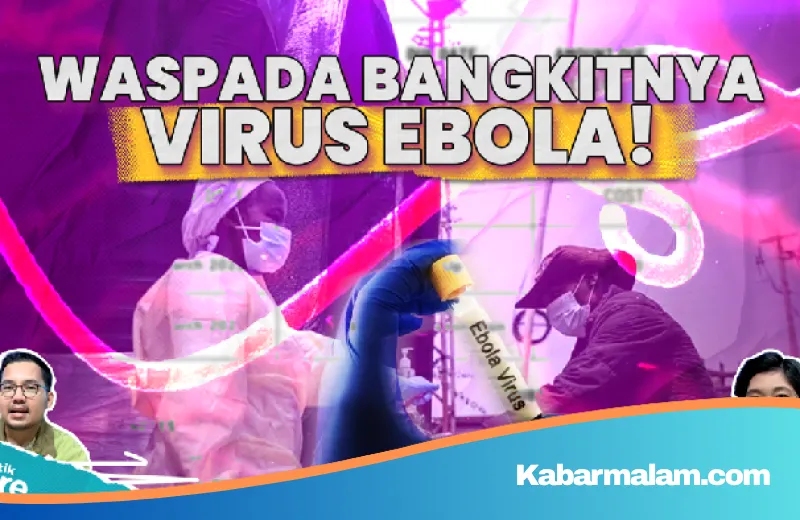 Dunia Waspada! Ancaman Virus Ebola dan Hanta Kembali Mengintai Kesehatan Global