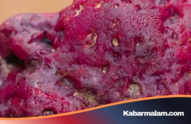 Kilauan Merah di Tengah Prahara: Penemuan Rubi Raksasa 11.000 Karat Guncang Myanmar