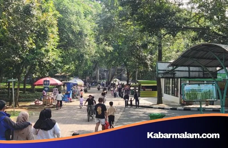 Libur Cuti Bersama Idul Adha 2026: Taman Margasatwa Ragunan Diserbu Belasan Ribu Pengunjung