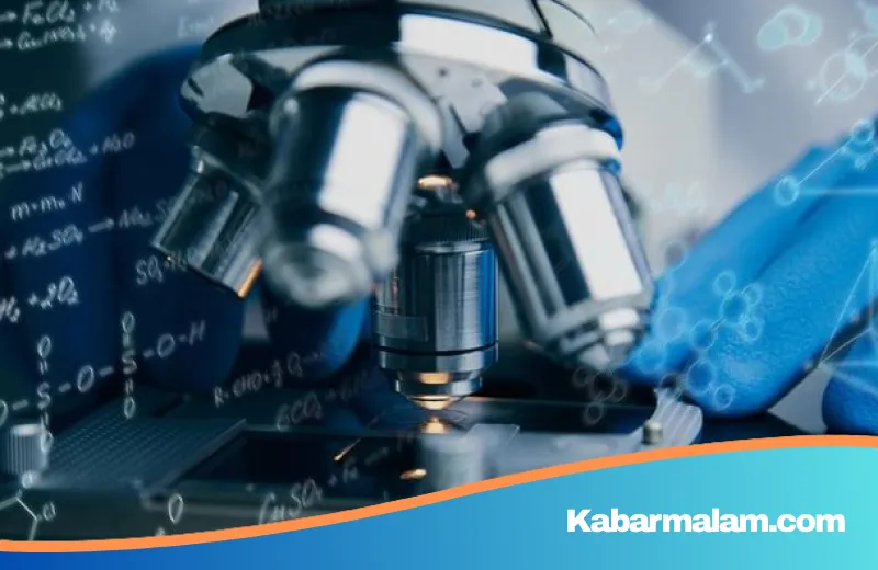 Menembus Titik Didih: Kisah Peneliti RI Temukan Thermus javaensis, Bakteri "Abadi" dari Geiser Cisolok