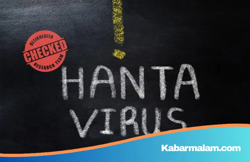 Mengenal Andes Virus: Benarkah Berpotensi Menjadi Pandemi Baru Pengganti COVID-19?