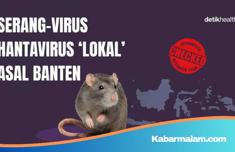 Mengenal Serang Virus: Strain Hantavirus Lokal dari Banten dan Potensi Risikonya