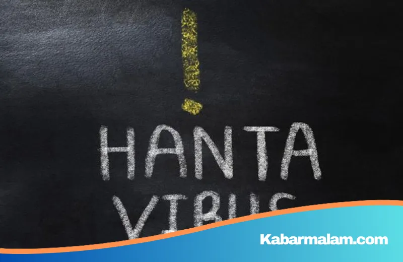 Mengintai dari Balik Debu: Memahami Ancaman Hantavirus di Indonesia dan Penjelasan Resmi Kemenkes
