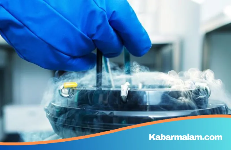 Menunda Kehamilan dengan Egg Freezing: Kapan Waktu Paling Tepat bagi Wanita?