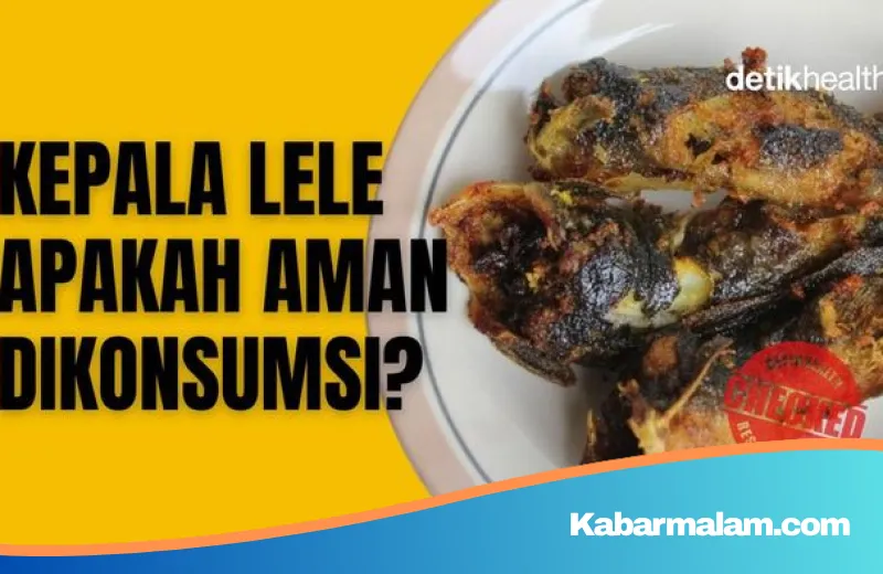 Misteri di Balik Potongan Kepala Lele: Antara Mitos Kesehatan dan Fakta Nutrisi