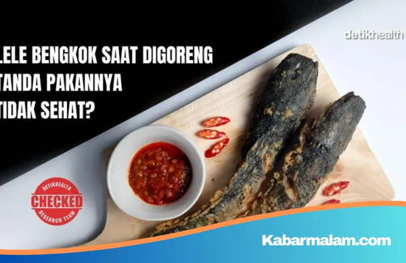 Mitos Ikan Lele Bengkok Saat Digoreng: Benarkah Tanda Pakan Tak Higienis? Ini Penjelasannya
