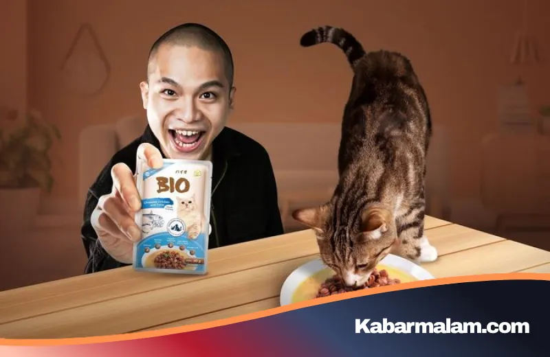 Rahasia di Balik Bio Cat: Solusi Nutrisi Premium Bagi Kucing yang Sulit Makan