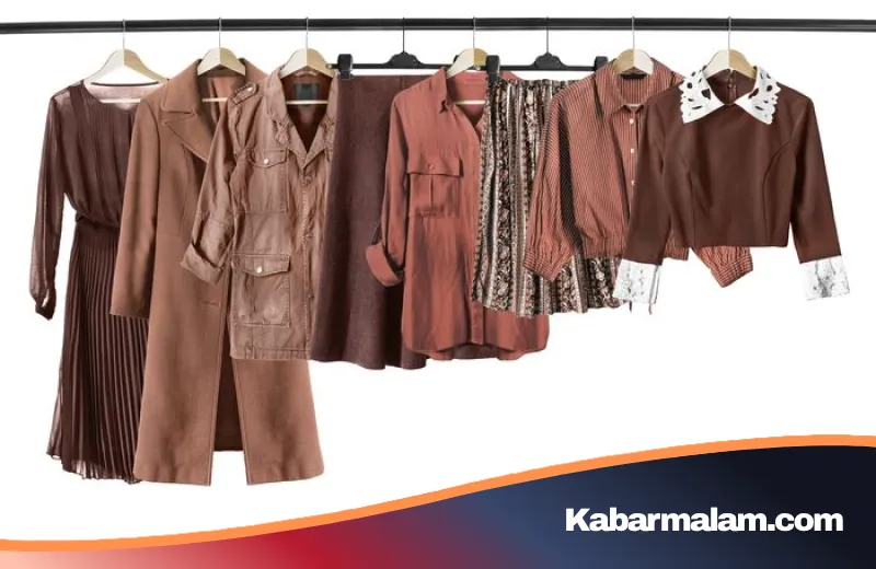 Rahasia di Balik Filosofi Warna Cokelat: Menyingkap Kepribadian Si Rendah Hati yang Membumi