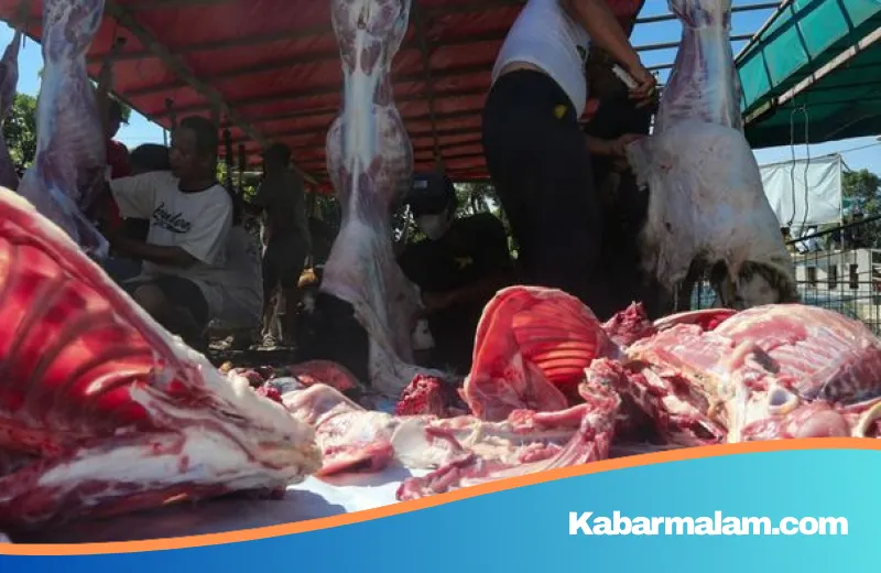 Rahasia Sains di Balik Daging Empuk: Mengapa Nanas dan Daun Pepaya Begitu Ampuh?
