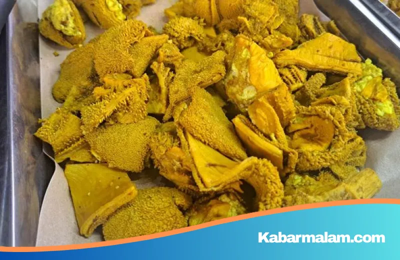 Siasat Makan Jeroan Tanpa Takut Asam Urat, Simak Penjelasan Pakar Penyakit Dalam Berikut Ini