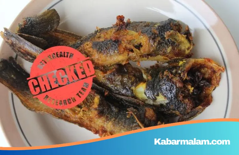Stigma Ikan Lele 'Jorok' Masih Menghantui, Pakar IPB Beberkan Fakta Mengejutkan di Balik Kolam Modern