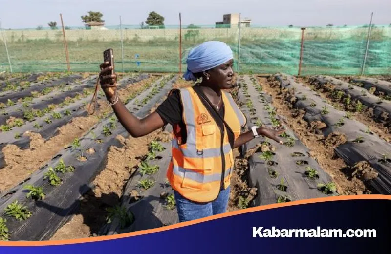 Strategi Afrika Melawan Kelangkaan: Menavigasi Krisis Pupuk Akibat Blokade Selat Hormuz