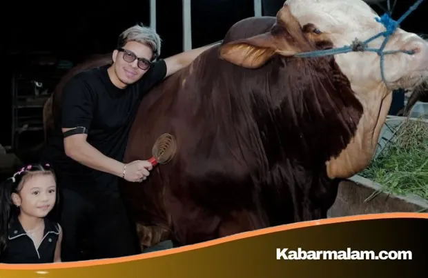 Strategi Baru Atta Halilintar, Sebar 12 Sapi Kurban hingga Pelosok Jawa Barat demi Berkah Merata