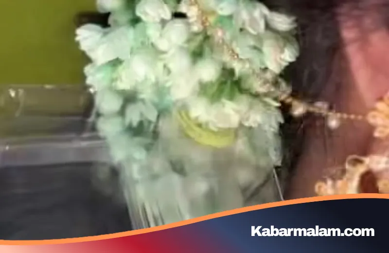 Tamu Tak Diundang di Hari Bahagia: Viral Aksi 'Penyusup' Kecil di Balik Sanggul Melati Pengantin India
