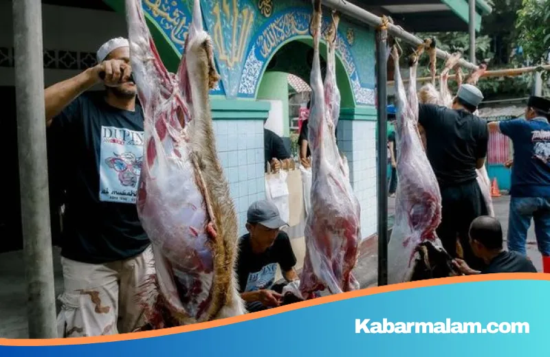 Tips Menikmati Hidangan Idul Adha Tanpa Kalap: Begini Saran Ahli Medis Agar Tetap Sehat