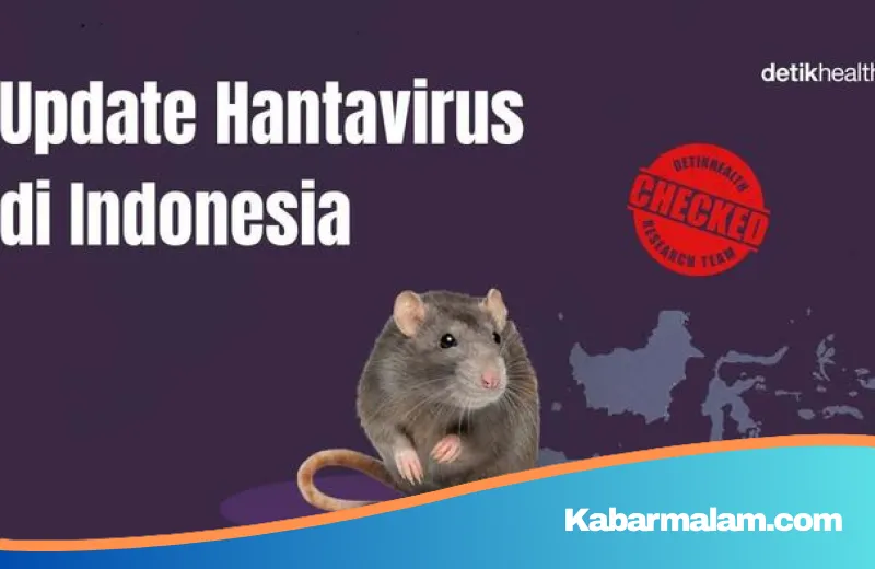 Tragedi Kolaborasi Maut Hantavirus dan Leptospirosis di Bandung: Kronologi Lengkap dan Penjelasan Kemenkes