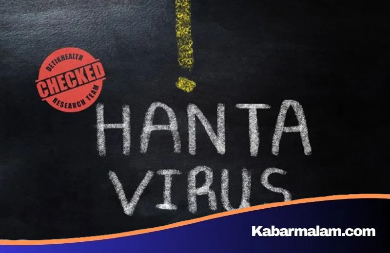 Tragedi MV Hondius: Drama Evakuasi Ratusan Penumpang Kapal Pesiar Pasca Wabah Hantavirus yang Mencekam