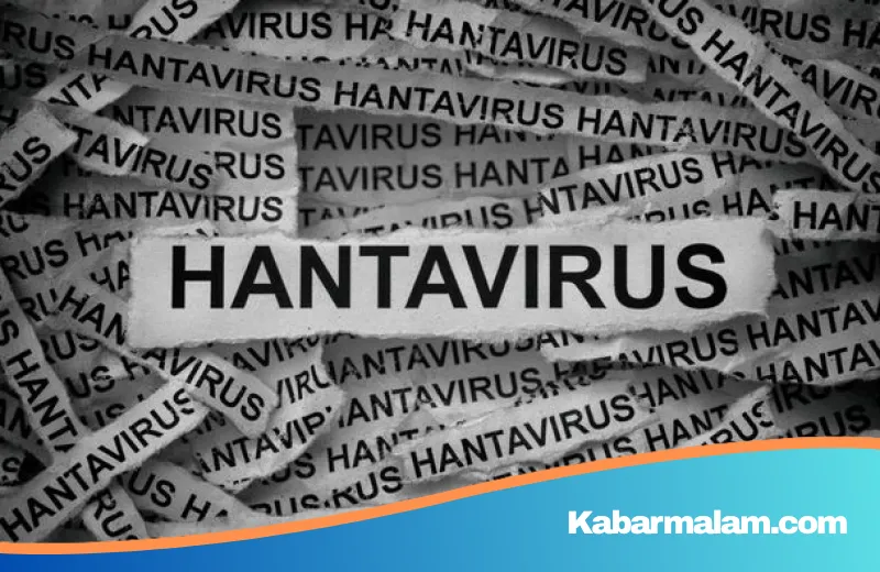 Tragedi MV Hondius: Misteri Penularan Hantavirus Mematikan yang Mengguncang Dunia Medis