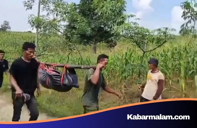 Tragedi Sungai Comal: Dua Remaja Pemalang Tewas Tenggelam Saat Bantu Bersihkan Jeroan Kurban