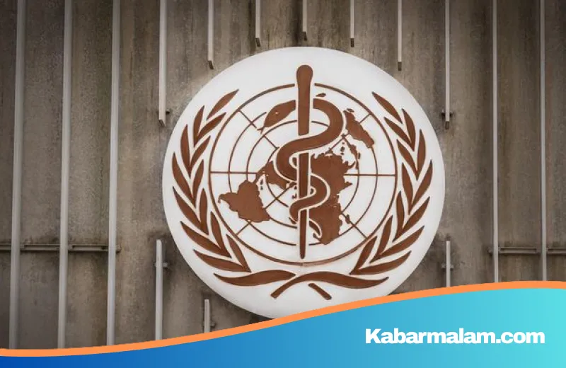Waspada Ebola Jadi Darurat Global, Kemenkes Larang Konsumsi Daging Mentah dan Hewan Liar