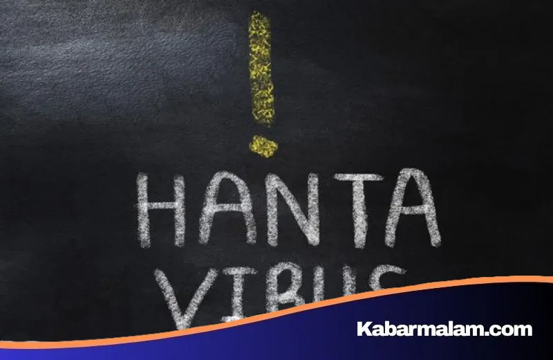 Waspada Hantavirus di Jawa Timur: Satu Kasus Terdeteksi, Dinkes Beri Penjelasan Medis