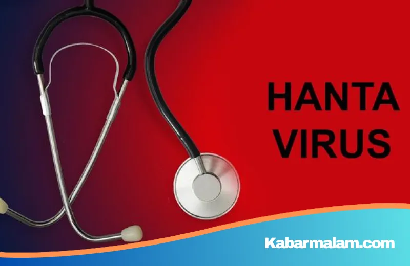 Waspada! Hantavirus Mengintai di Balik Hobi Outdoor, Ini Penjelasan Lengkap Kemenkes RI