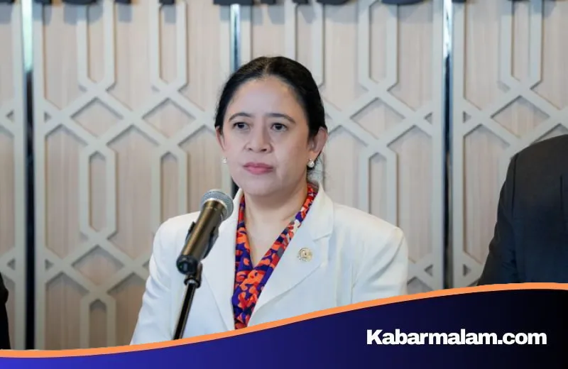 Waspada Hantavirus, Puan Maharani Desak Pemerintah Transparan dan Perkuat Infrastruktur Kesehatan